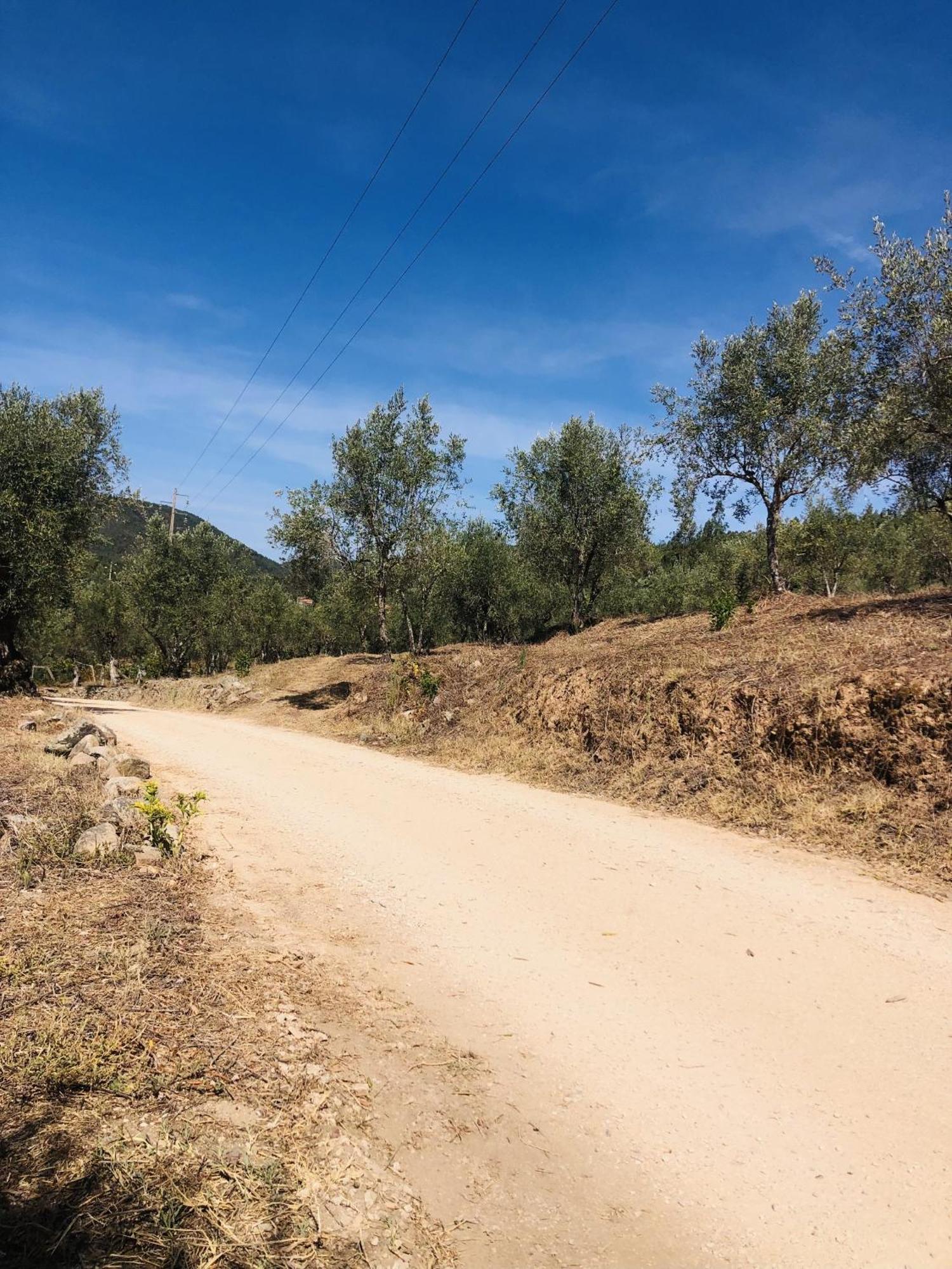 Cernache do Bonjardim Canto Do Zezere, Serta, Dornes, Castelo Do Bode מראה חיצוני תמונה